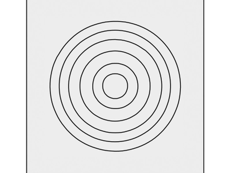 Concentric ring sealing pattern — top-down view of stepped bung face